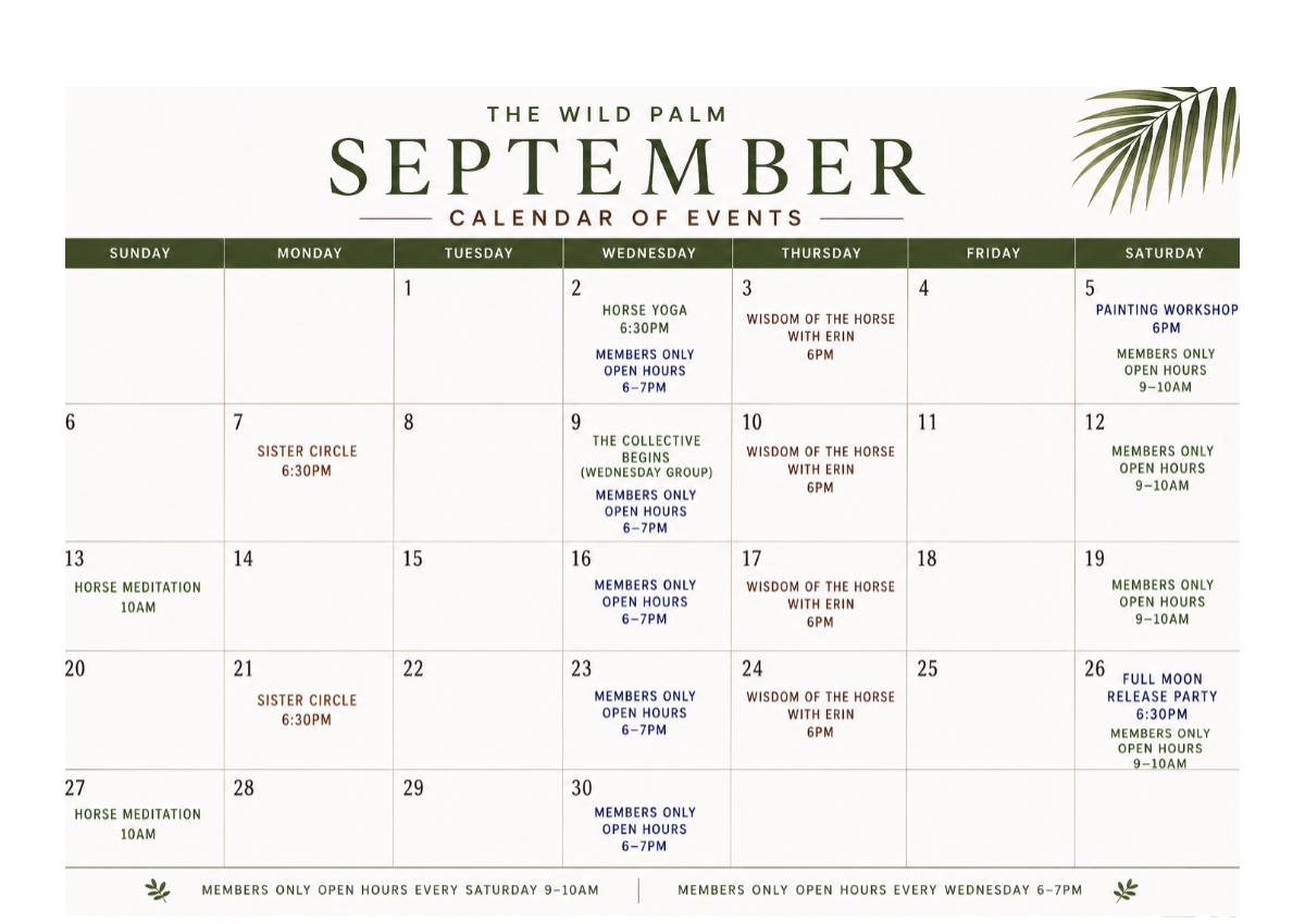 This month's events at The Wild Palm